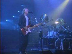 Pink Floyd Delicate Sound Of Thunder (Live 1988) (part 1)